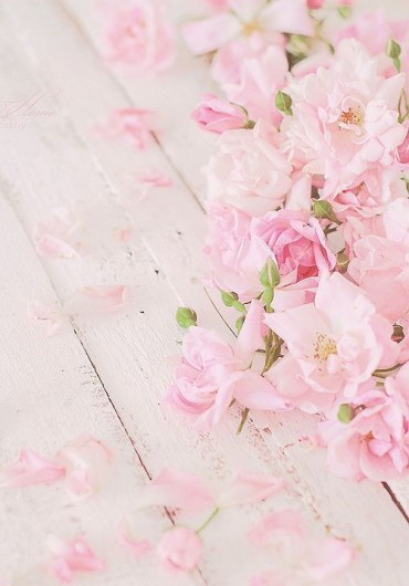 New models of girly flower backgrounds__grapharts (42)