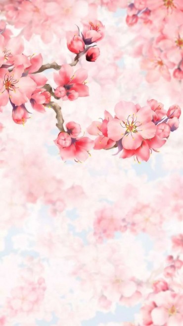 New models of girly flower backgrounds__grapharts (44)