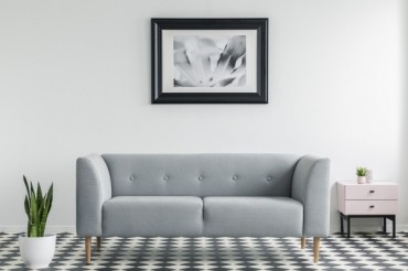 plant-next-to-grey-settee-in-white-and-black-GE8JQ4R