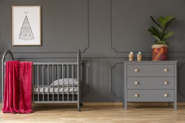 plant-on-grey-cabinet-next-to-kids-bed-with-red-VF76CQ5